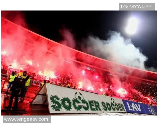 欧冠门票系统瘫痪数万球迷奋战12小时争抢梦寐以求的入场券