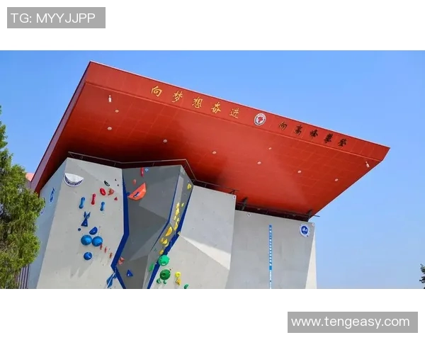 成都攀岩队的转型之路与深度探索攀岩运动的未来发展MBA