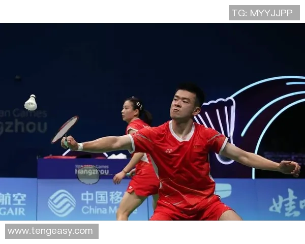 聚焦羽毛球杭州羽毛球队个人能力提升与团队协作的深度探讨