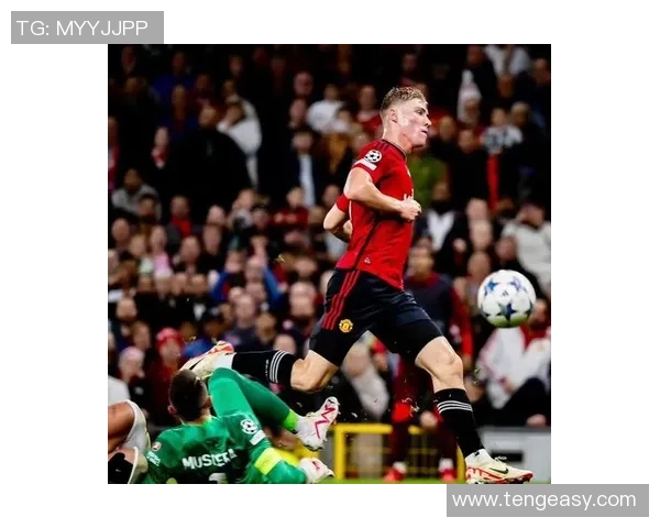 霍伊伦的传奇人生与不凡成就探秘之旅