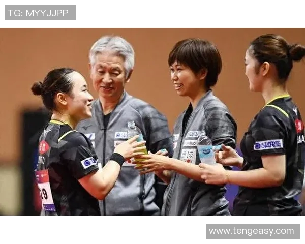 南京乒乓球队在精英赛中的团队协作表现分析与评价