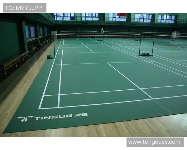 深入分析北京羽毛球队包夹战术的优势与应用策略